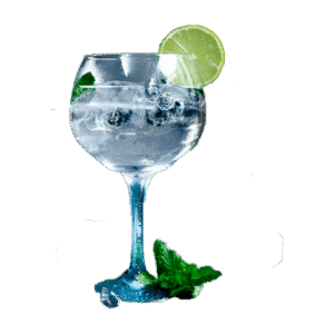 Gin Tonic